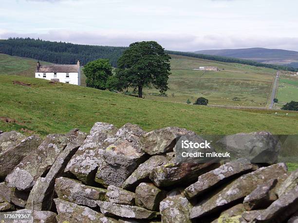 Foto de Inglês Campo De Fazenda Em Yorkshire e mais fotos de stock de Cena Rural - Cena Rural, Yorkshire, Agricultura