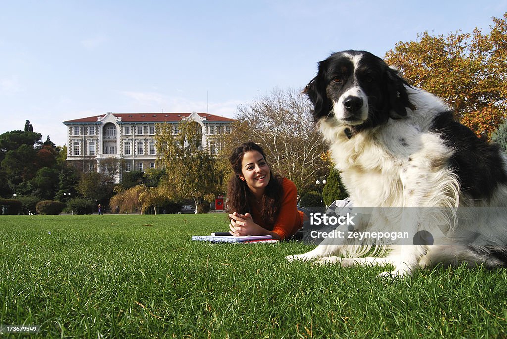 dog at campus a dog and a beautiful teenager at campus Dog Stock Photo