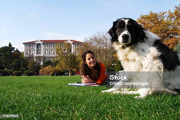Dog At Campus Stock Photo - Download Image Now - Dog, Happiness, University