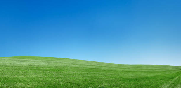 istock Panoramic spring landscape 60MPix  XXXXL meadow, clear, blue sky 173679900