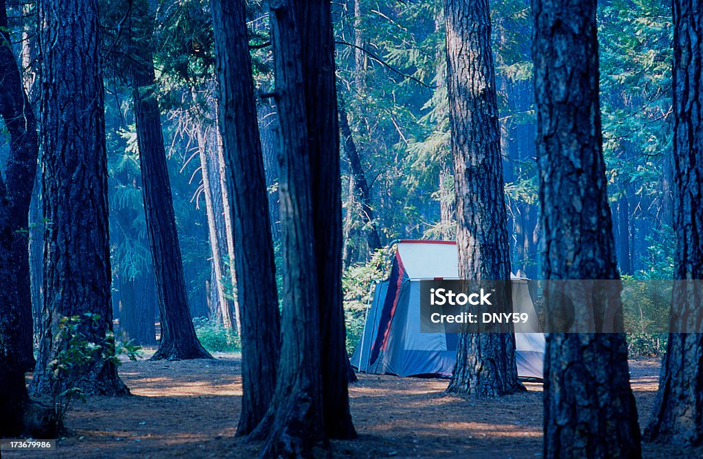 テントの森 2 - アウトドアのロイヤリティフリーストックフォト