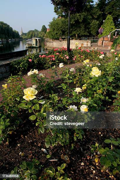 Rose Garden In Stratford Upon Avon Stock Photo - Download Image Now - Bed Of Roses, British Culture, City