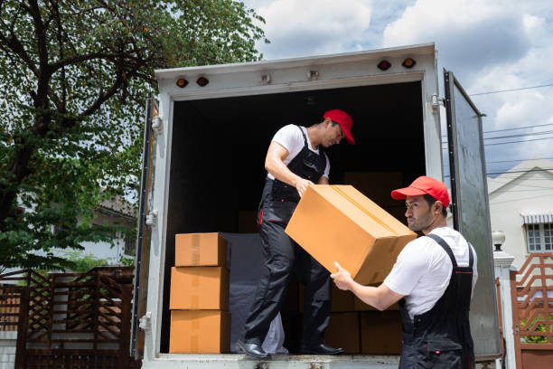 istock Multiethnic house moving workers in uniform working uploading cardboard box and furniture, delivery moving house services, Indian man and Caucasian male holding house owner belonging stuff from truck 1736802412