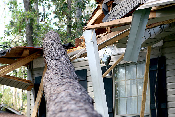 Hurricane Katrina Damage 01 A tree is blown over to hit a house during hurricane Katrina. damaged stock pictures, royalty-free photos & images