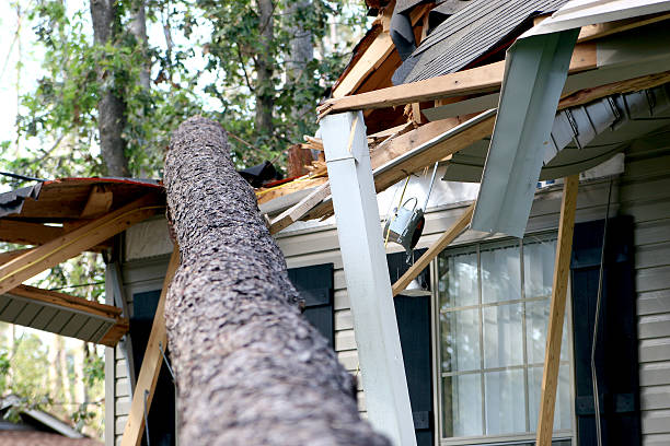 Hurricane Katrina Damage 01 A tree is blown over to hit a house during hurricane Katrina. new orleans disaster stock pictures, royalty-free photos & images