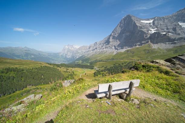 istock Bernese Oberland landscape 1736814320