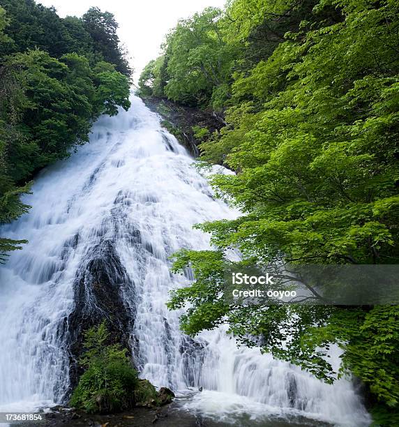 Springbrunnen Stockfoto und mehr Bilder von Bach - Bach, Baum, Bewegungsunschärfe