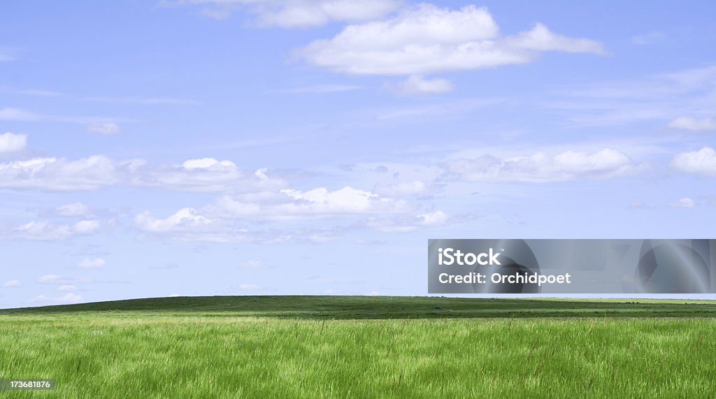 Grassland e orizzonte - Foto stock royalty-free di Blu