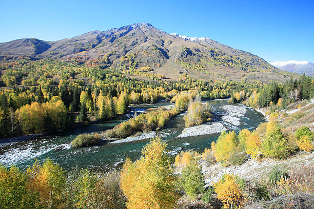 istock Autumn at Hemu, Xinjiang, China 173682054