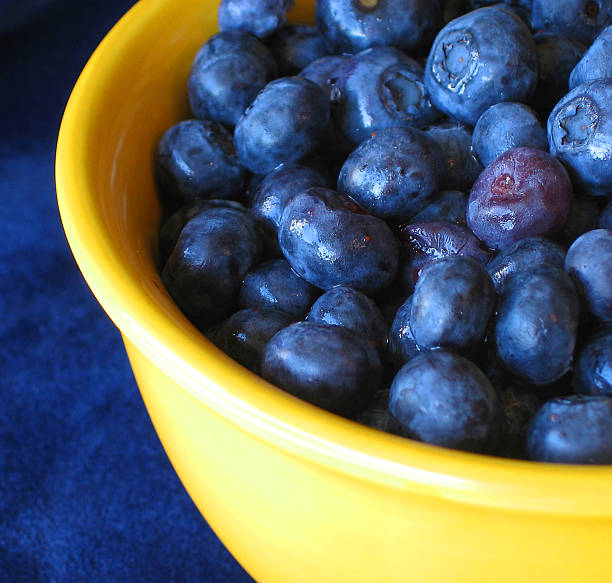 Blueberry Bowl stock photo