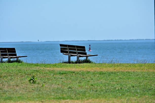 istock Green Spaces in the City 1736825632