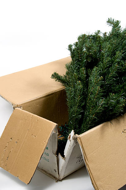 Christmas set up A aged and broken box with an artificial Christmas tree in it. deconstruct stock pictures, royalty-free photos & images