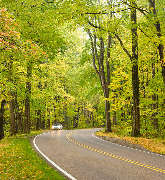 "smoky góra jesień drogi serii" - gatlinburg road winding road tennessee zdjęcia i obrazy z banku zdjęć