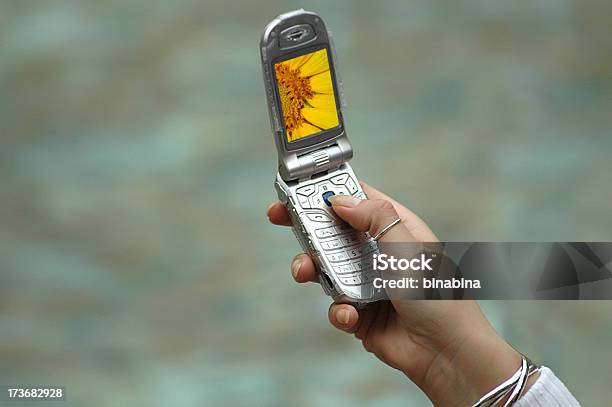 Teléfono Con Cámara Foto de stock y más banco de imágenes de Adolescente - Adolescente, Adulto, Adulto joven