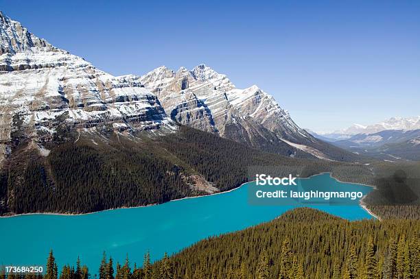 See Peyto Lake Banff National Park Alberta Kanada Stockfoto und mehr Bilder von Ansicht aus erhöhter Perspektive