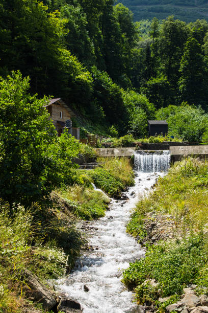 istock narrow mountain river flows rapidly among green hills 1736848243