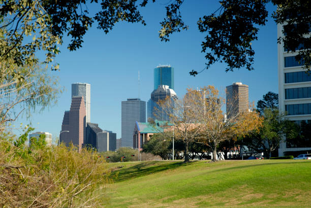 istock View Of Skyscrapers From Park 173684938