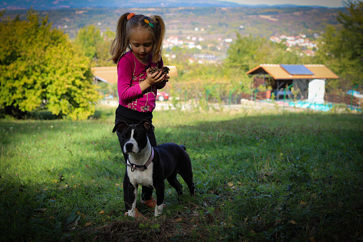 Mom playing with child and dog in the park. healthy habits