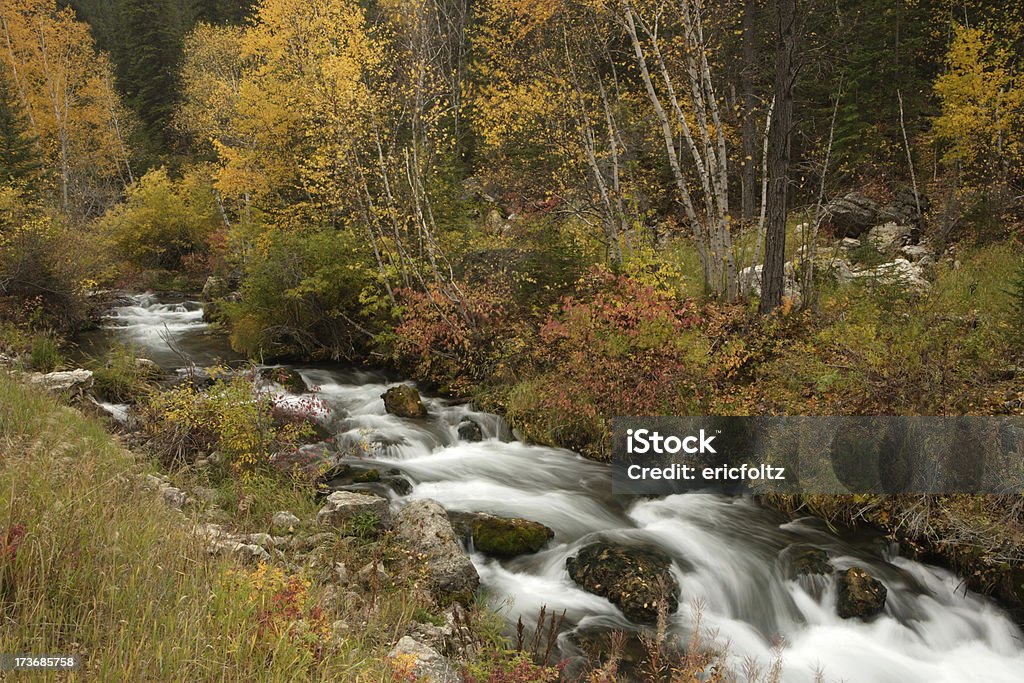Spearfish Creek - Foto de stock de Dakota del Sur libre de derechos