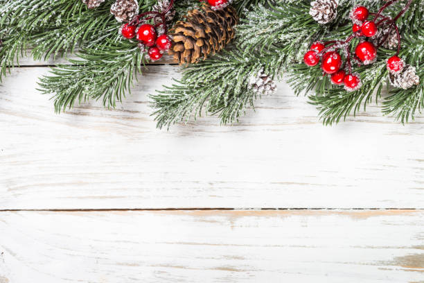 istock Winter fir tree with snow at white table. 1736863637