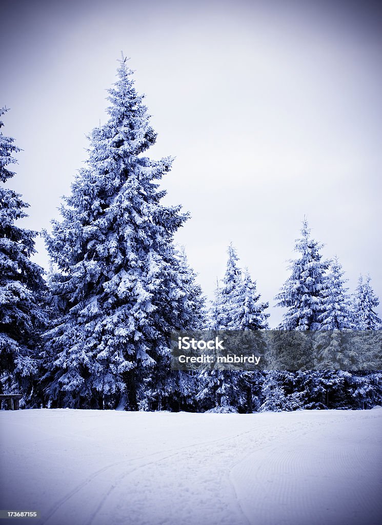 Idílico de inverno - Foto de stock de Beleza royalty-free