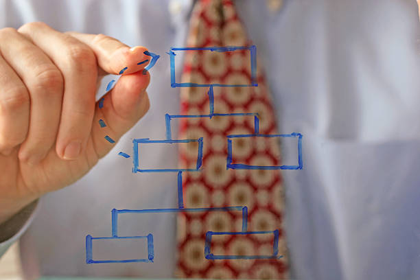 의사 결정 - organization chart decisions business business person 뉴스 사진 이미지