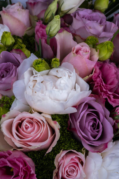 istock wedding bouquet consisting of roses, white hydrangea, pink tulips and lisianthus, eucalyptus 1736881991