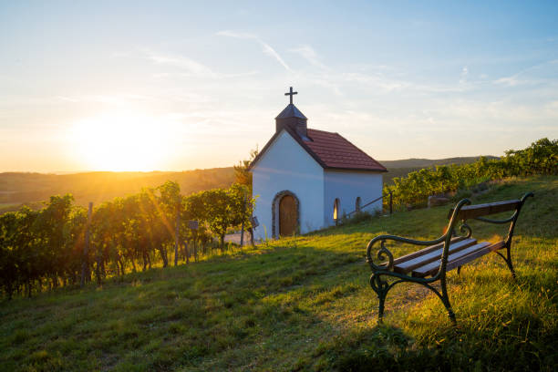 Cтоковое фото Церковь посреди виноградников