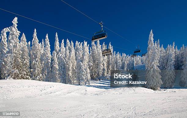 С Видом На Горы — стоковые фотографии и другие картинки Austrian Pine - Austrian Pine, Австрия, Апре-ски