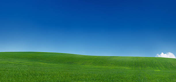 istock Panoramic spring landscape 99MPix  XXXXL meadow, blue sky, clouds 173689670