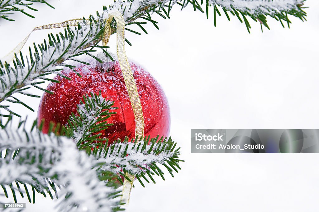 Rojo Bauble y nieve - Foto de stock de Abeto libre de derechos