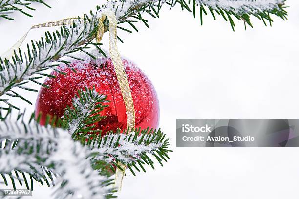 Rojo Bauble Y Nieve Foto de stock y más banco de imágenes de Abeto - Abeto, Abeto Picea, Adorno de navidad