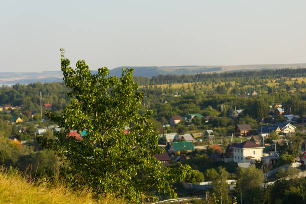 istock Tree tops in sunshine 1736901932