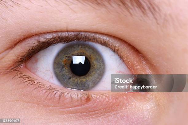 Здоровый глаз человека фото Здоровый глаз человека фото