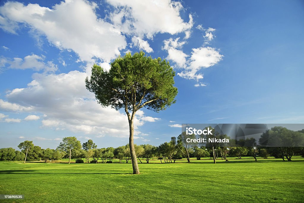 Paisaje - Foto de stock de Agricultura libre de derechos