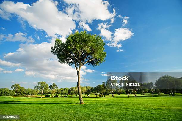 Paisaje Foto de stock y más banco de imágenes de Agricultura - Agricultura, Ajardinado, Azul