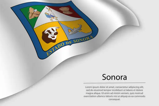 Vector illustration of Wave flag of Sonora is a region of Mexico