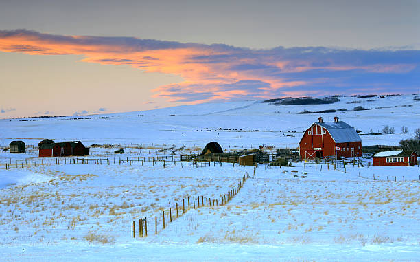 istock Winter Farm Scene 173691349