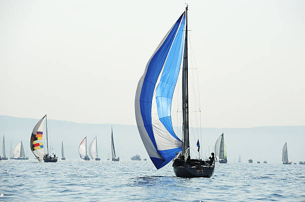 istock Sailing race Barcolana 173691651