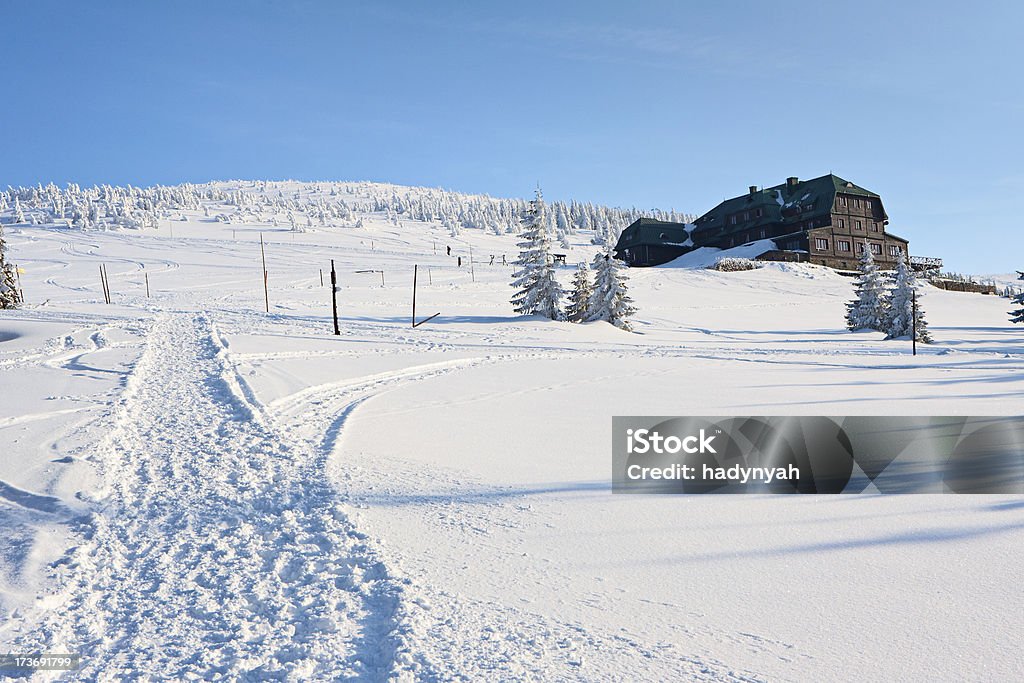 Paysage hivernal - Photo de Arbre libre de droits