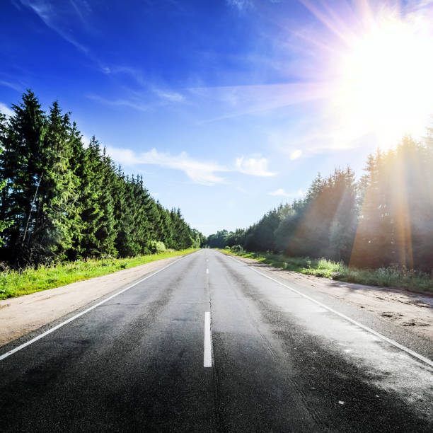 istock Beautiful road panorama in forest 1736920595
