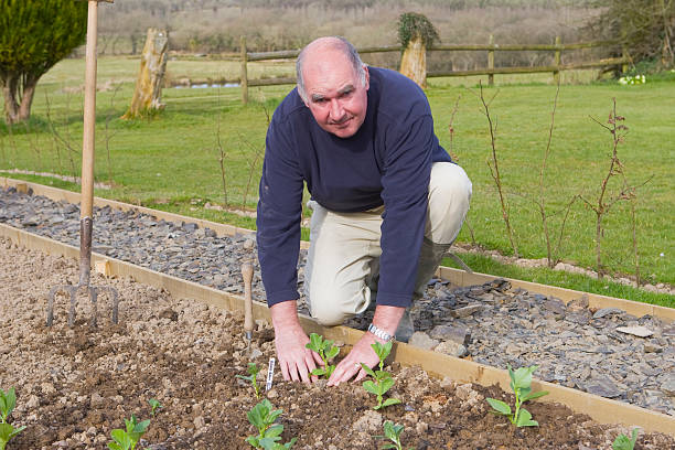 istock Planting Vegetables 173692219