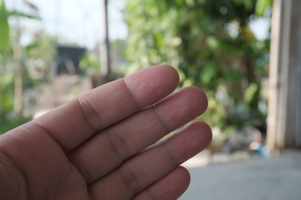 istock Open your hand. 1736923858