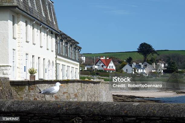 St Mawes - Fotografie stock e altre immagini di Ambientazione esterna - Ambientazione esterna, Ambientazione tranquilla, Baia