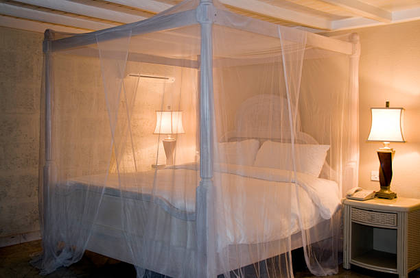 Bed with white canopy and illuminated lamps Four poster bed with mosquito net mosquito mosquito netting four poster bed bed stock pictures, royalty-free photos & images