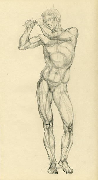 The nudity model A pencil drawing.Look gallery: standing on one leg not exercising stock illustrations