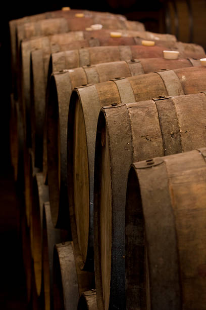 istock Wine barrels in winery 173693590