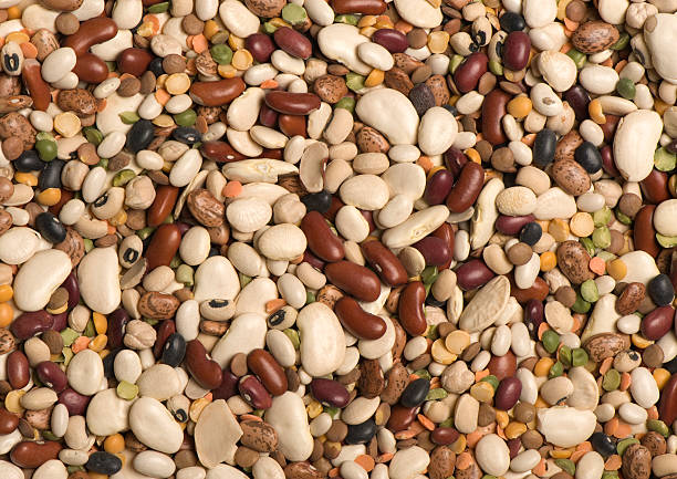 istock Background of assorted dry beans - legume 173693730