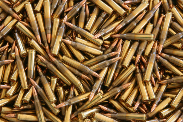 1000 rounds of 5.56mm ammunition.