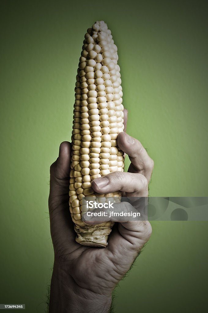 Mão segure espiga de milho fresco - Foto de stock de Alimentação Saudável royalty-free